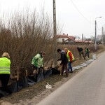 Akcja przenoszenia płazów